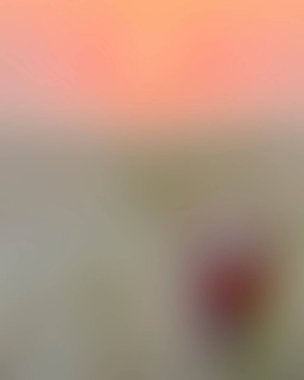 Abstract blur background of colors mixed 