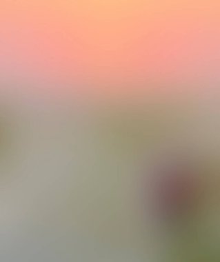 Abstract blur background of colors mixed 