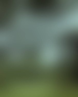 Abstract blur background of colors mixed 