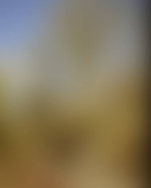 Abstract blur background of colors mixed 