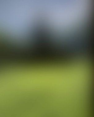 Abstract blur background of colors mixed 