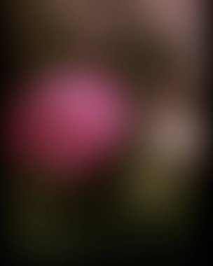 Abstract blur background of colors mixed 