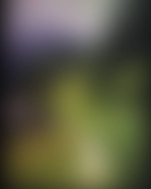 Abstract blur background of colors mixed 