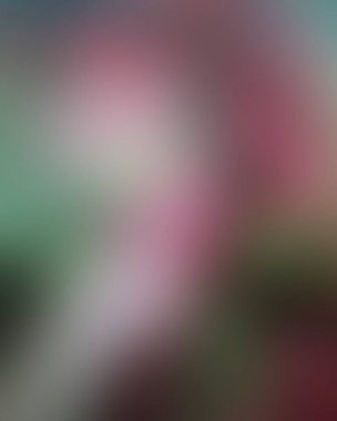 Abstract blur background of colors mixed 