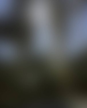 Abstract blur background of colors mixed 