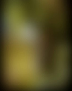 Abstract blur background of colors mixed 