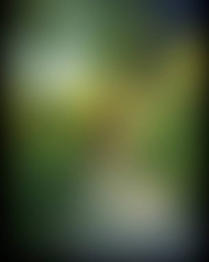 Abstract blur background of colors mixed 