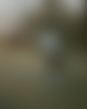 Abstract blur background of colors mixed 