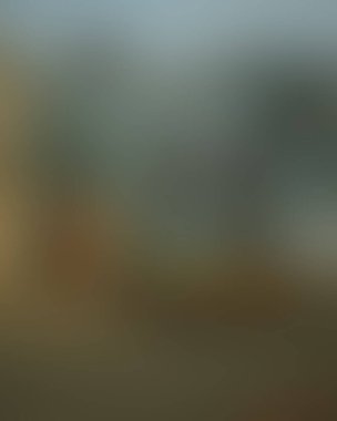 Abstract blur background of colors mixed 