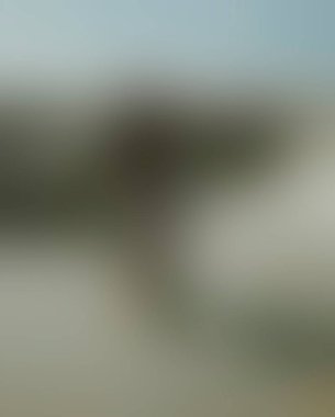 Abstract blur background of colors mixed 