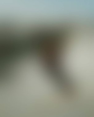 Abstract blur background of colors mixed 