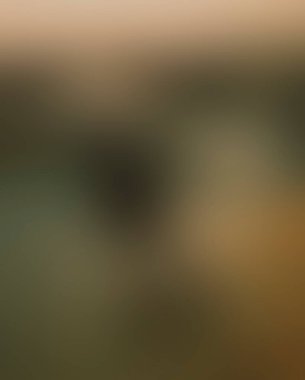 Abstract blur background of colors mixed 