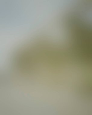 Abstract blur background of colors mixed 