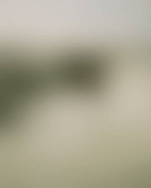 Abstract blur background of colors mixed 