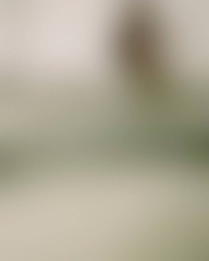 Abstract blur background of colors mixed 