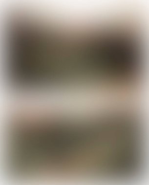 Abstract blur background of colors mixed 