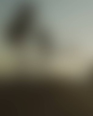 Abstract blur background of colors mixed 