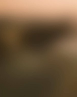 Abstract blur background of colors mixed 