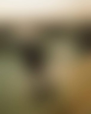 Abstract blur background of colors mixed 