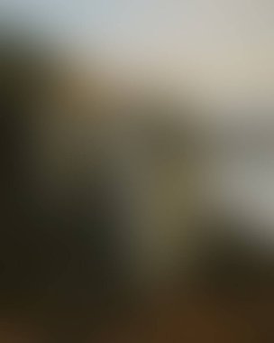 Abstract blur background of colors mixed 