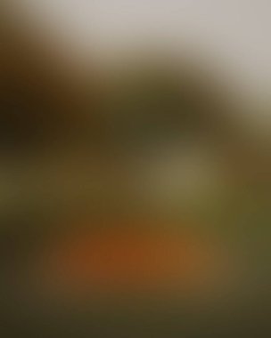 Abstract blur background of colors mixed 