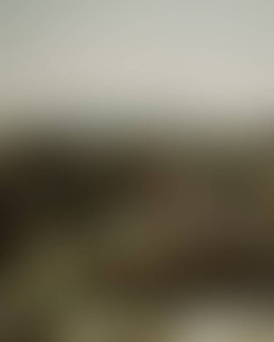 Abstract blur background of colors mixed 