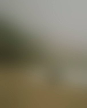 Abstract blur background of colors mixed 