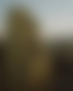 Abstract blur background of colors mixed 