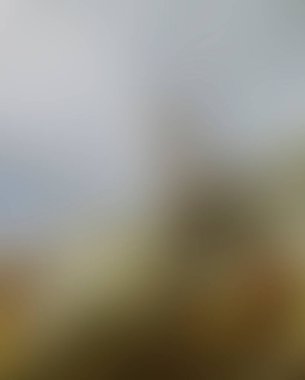 Abstract blur background of colors mixed 