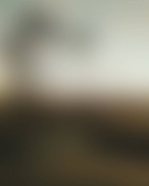 Abstract blur background of colors mixed 