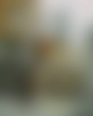 Abstract blur background of colors mixed 