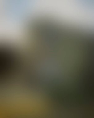 Abstract blur background of colors mixed 