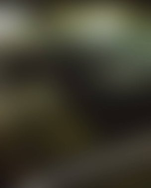 Abstract blur background of colors mixed 