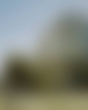 Abstract blur background of colors mixed 