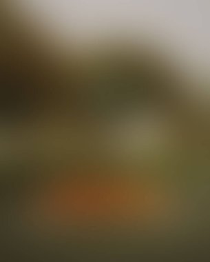 Abstract blur background of colors mixed 