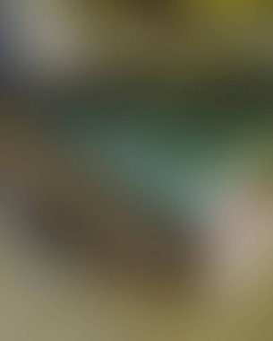 Abstract blur background of colors mixed 