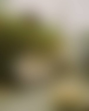 Abstract blur background of colors mixed 