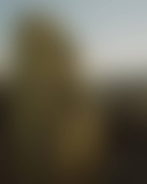 Abstract blur background of colors mixed 