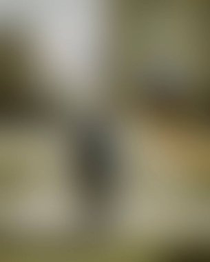 Abstract blur background of colors mixed 