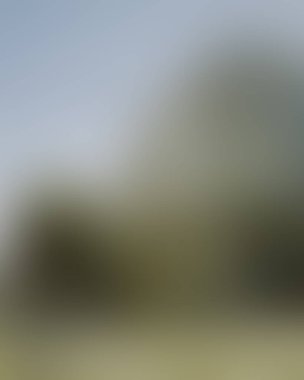 Abstract blur background of colors mixed 