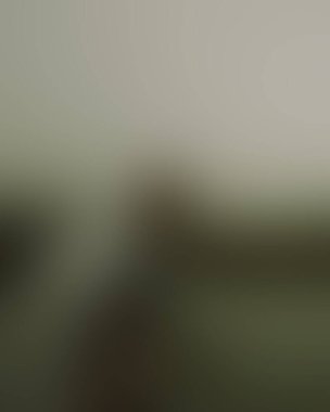 Abstract blur background of colors mixed 