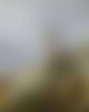 Abstract blur background of colors mixed 