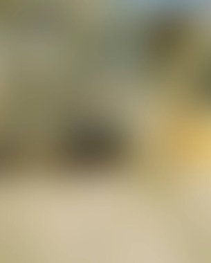 Abstract blur background of colors mixed 