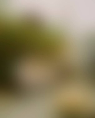 Abstract blur background of colors mixed 