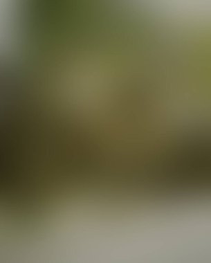 Abstract blur background of colors mixed 