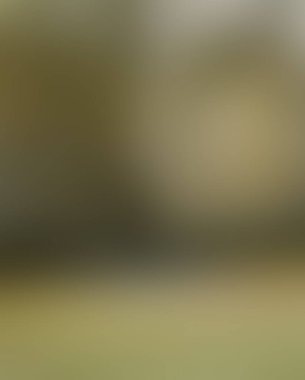 Abstract blur background of colors mixed 