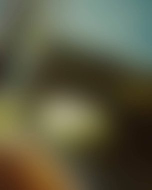 Abstract blur background of colors mixed 