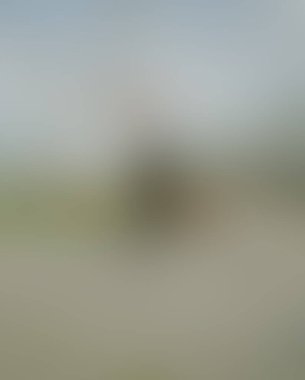 Abstract blur background of colors mixed 