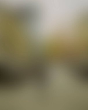 Abstract blur background of colors mixed 