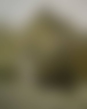 Abstract blur background of colors mixed 